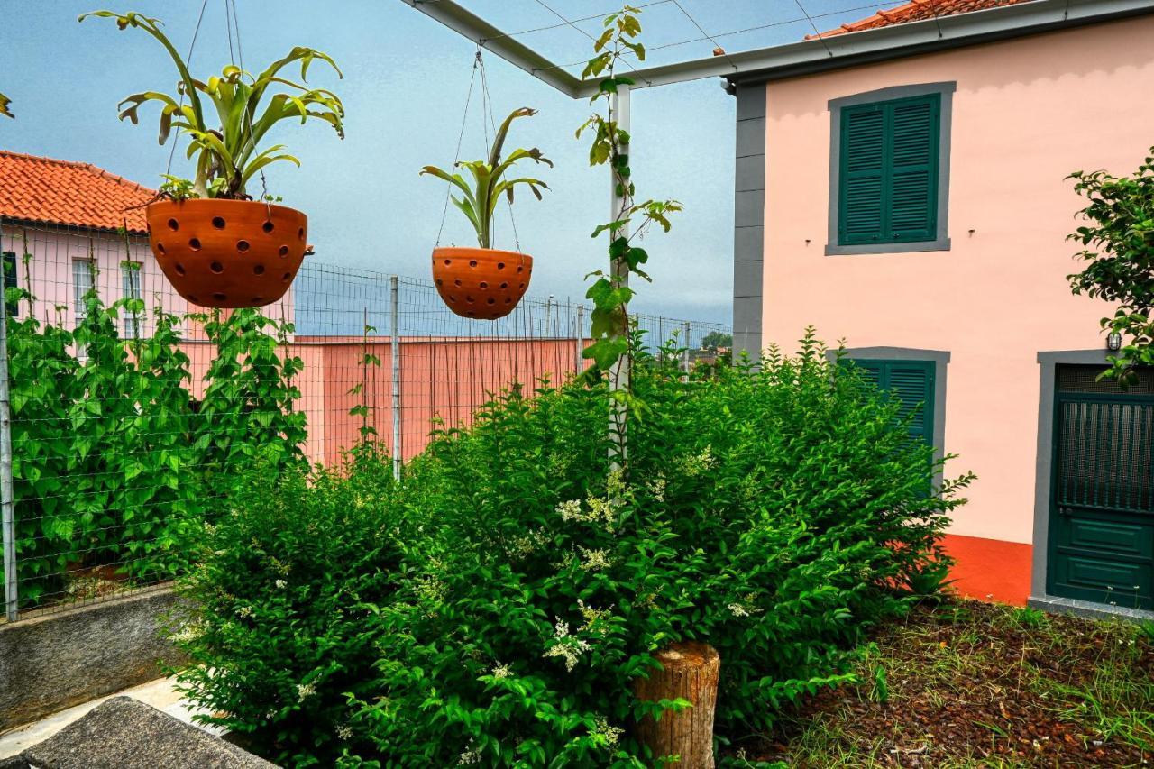 Os Ferreirinhos, A Home In Madeira São Jorge Extérieur photo