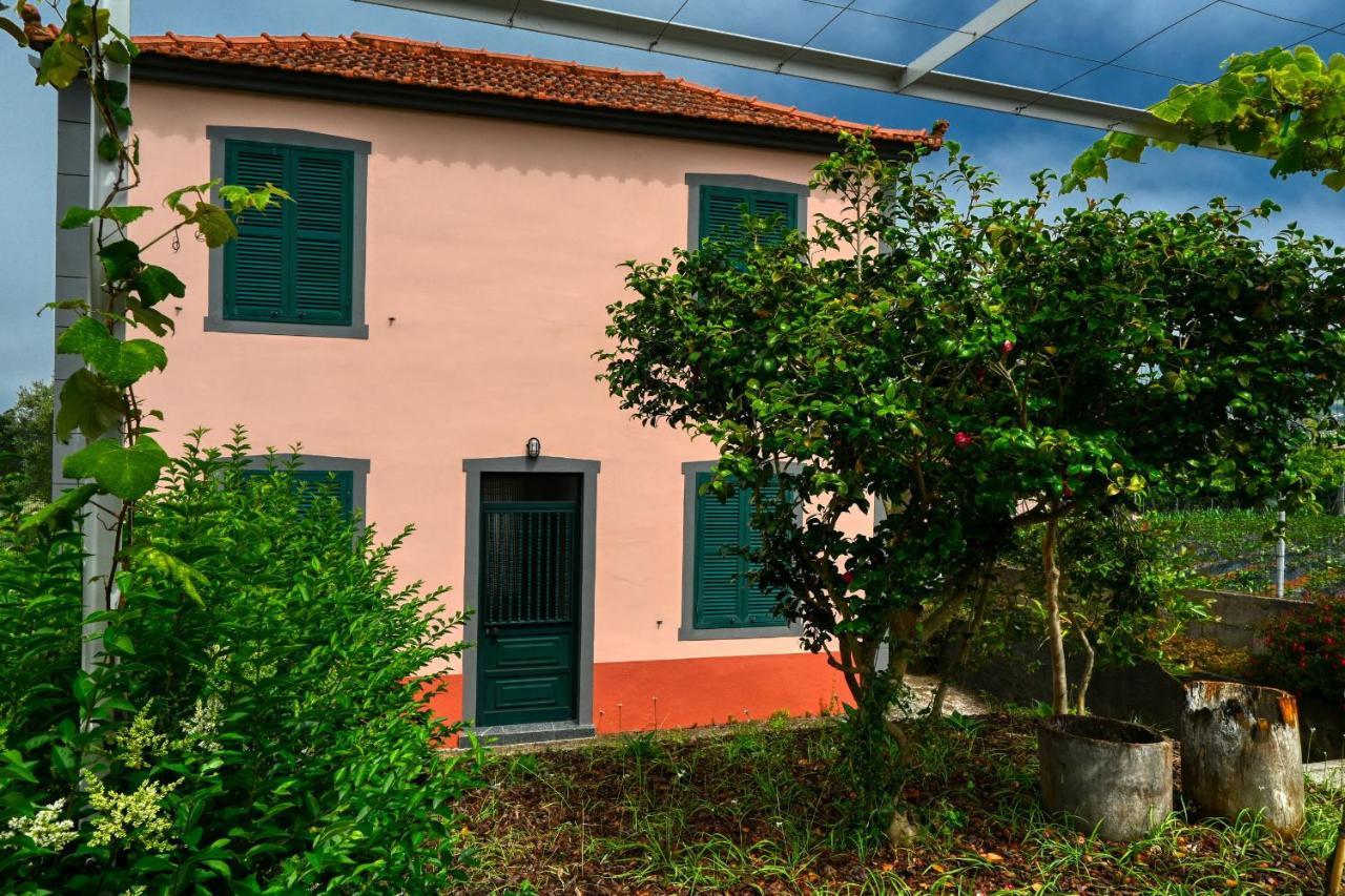 Os Ferreirinhos, A Home In Madeira São Jorge Extérieur photo