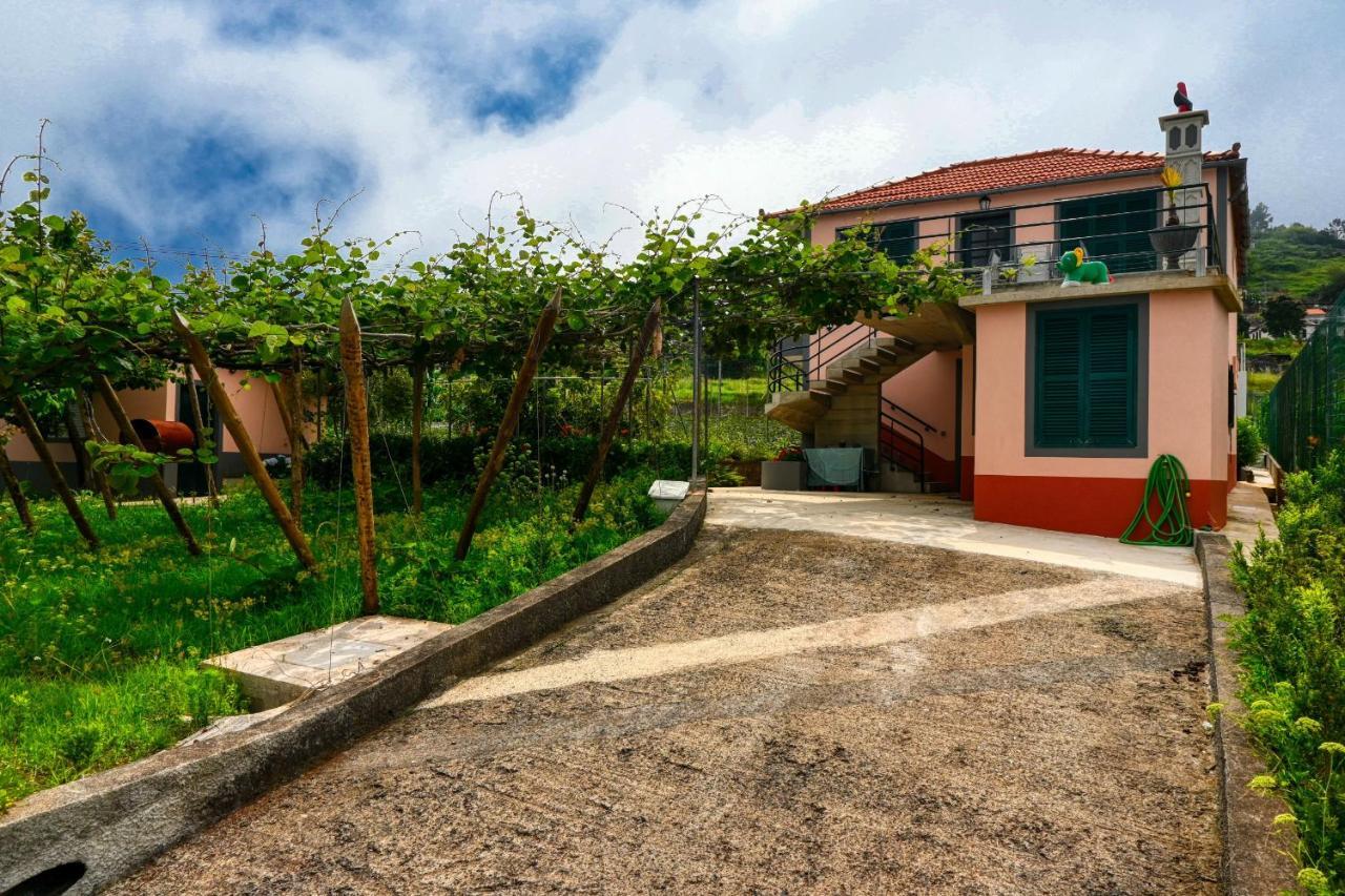 Os Ferreirinhos, A Home In Madeira São Jorge Extérieur photo